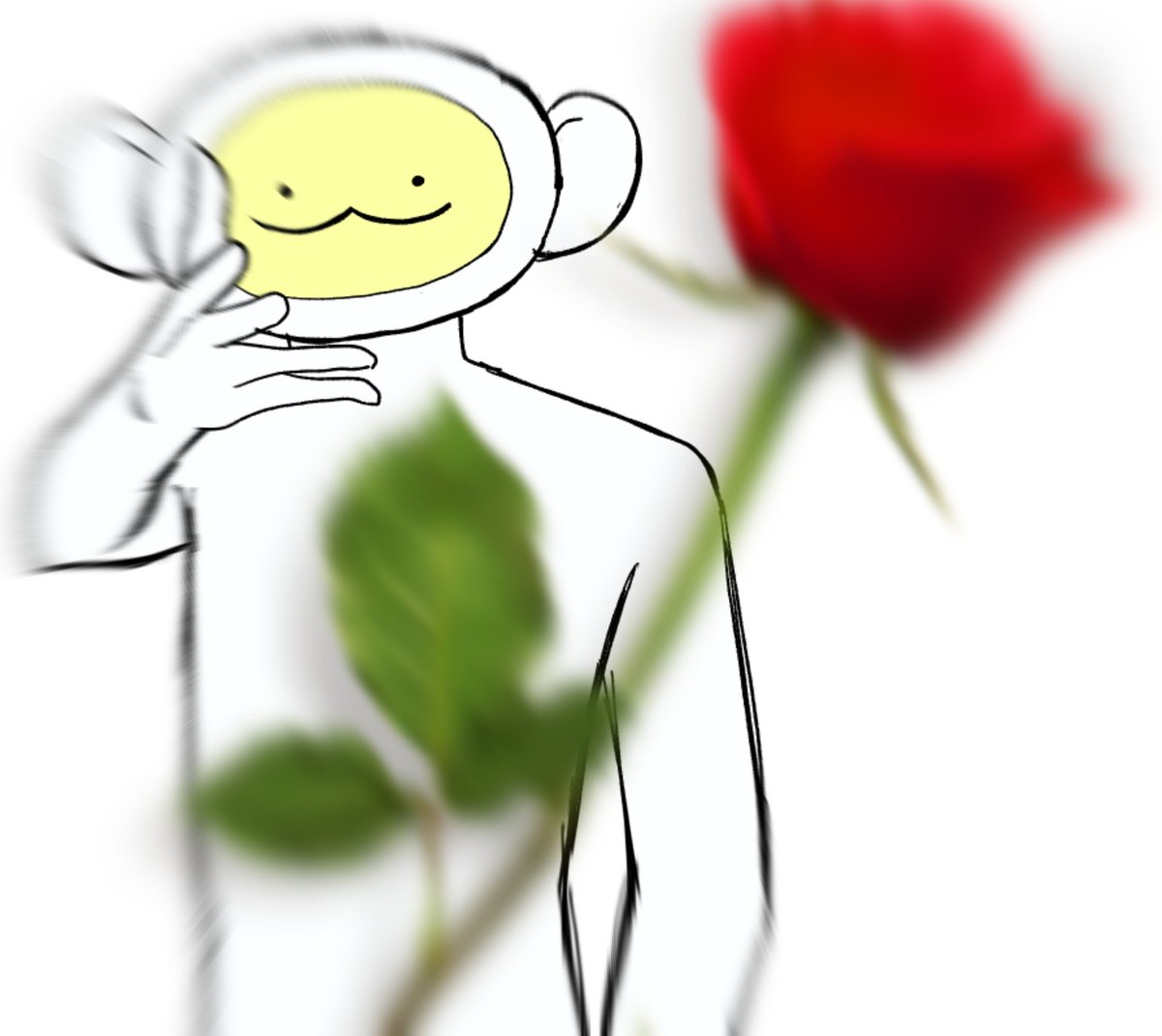 A K A R I ひょうこ tweet media