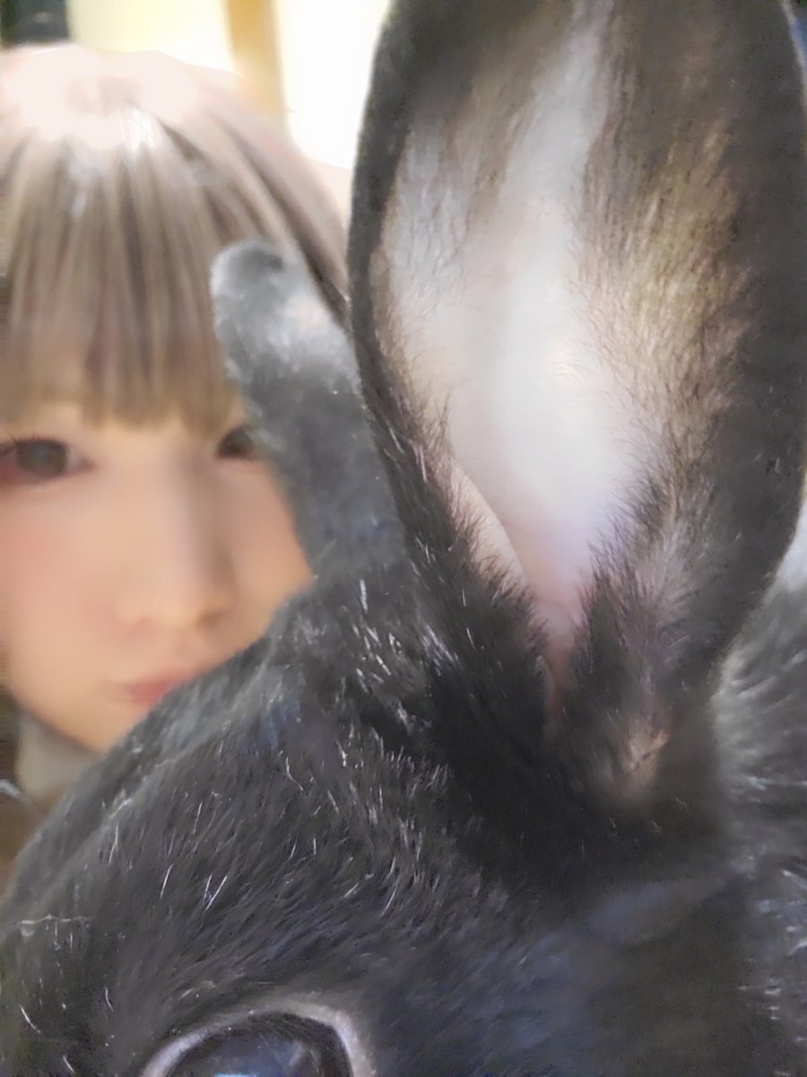 さゆき tweet media