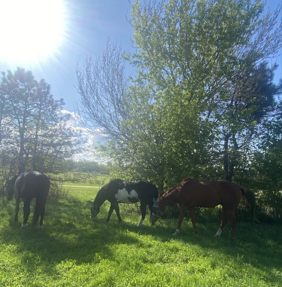 gener5757's tweet photo. Good Morning Friends 
The sun came out this morning https://t.co/6qzXOJwmVu