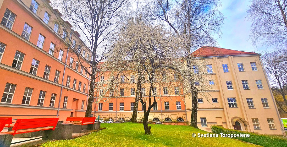 LanaToro21's tweet image. #Photobyme📷 #Vilnius #Lithuania🇱🇹
Today on the way to my Workplace

A grateful heart finds beauty in everything 🕊🧡🕊