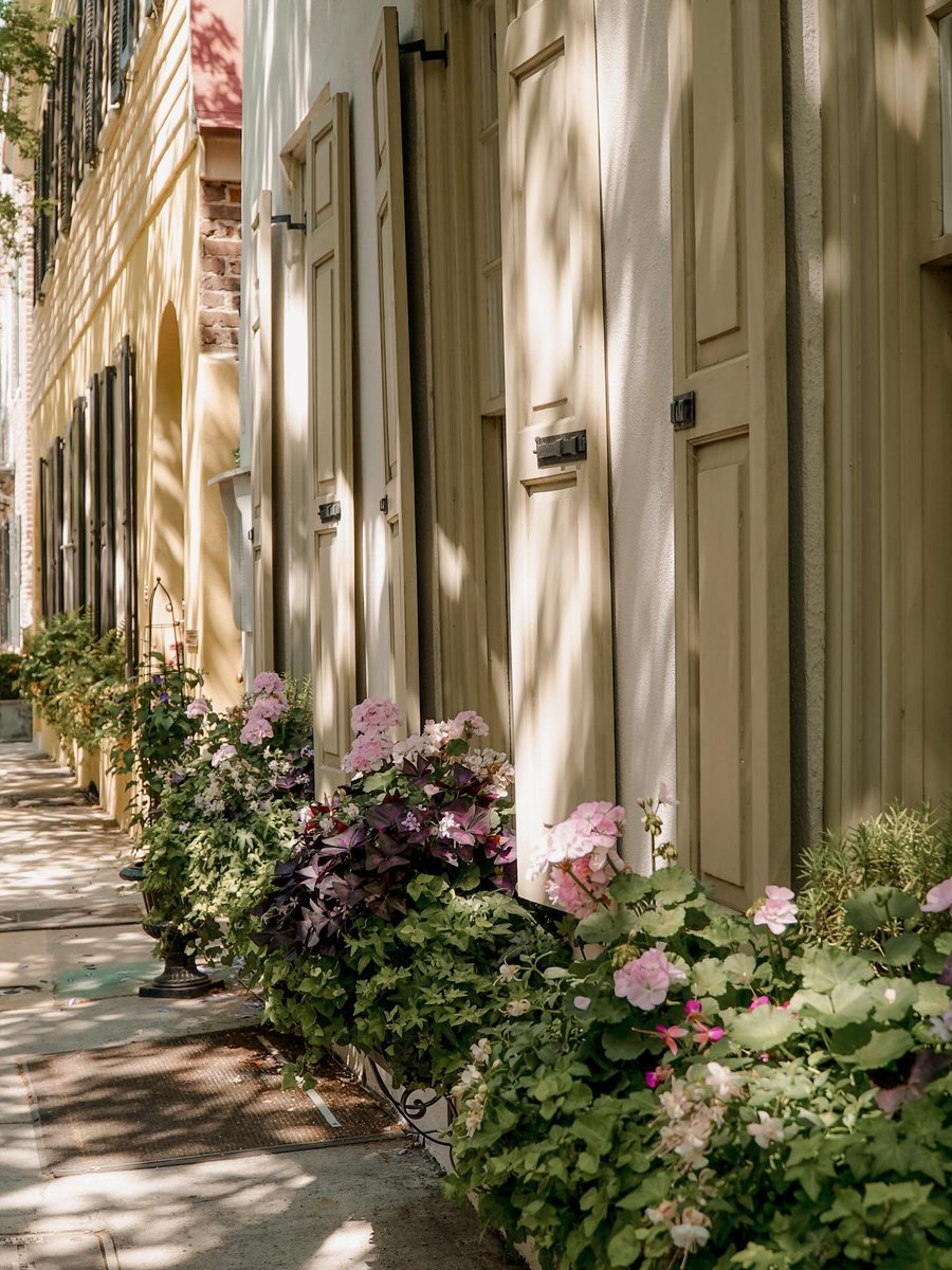 ExploreCHS's tweet photo. Happy #WindowBoxWednesday from Charleston! 🌿🌸 #ExploreCharleston https://t.co/u38Qs7I4Rs