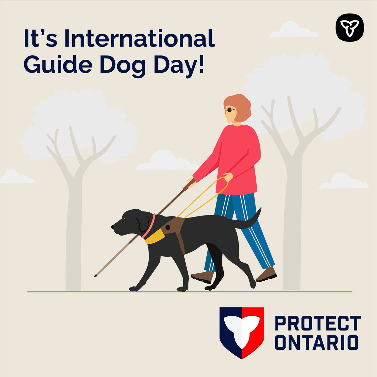 Ontario Accessibility tweet media