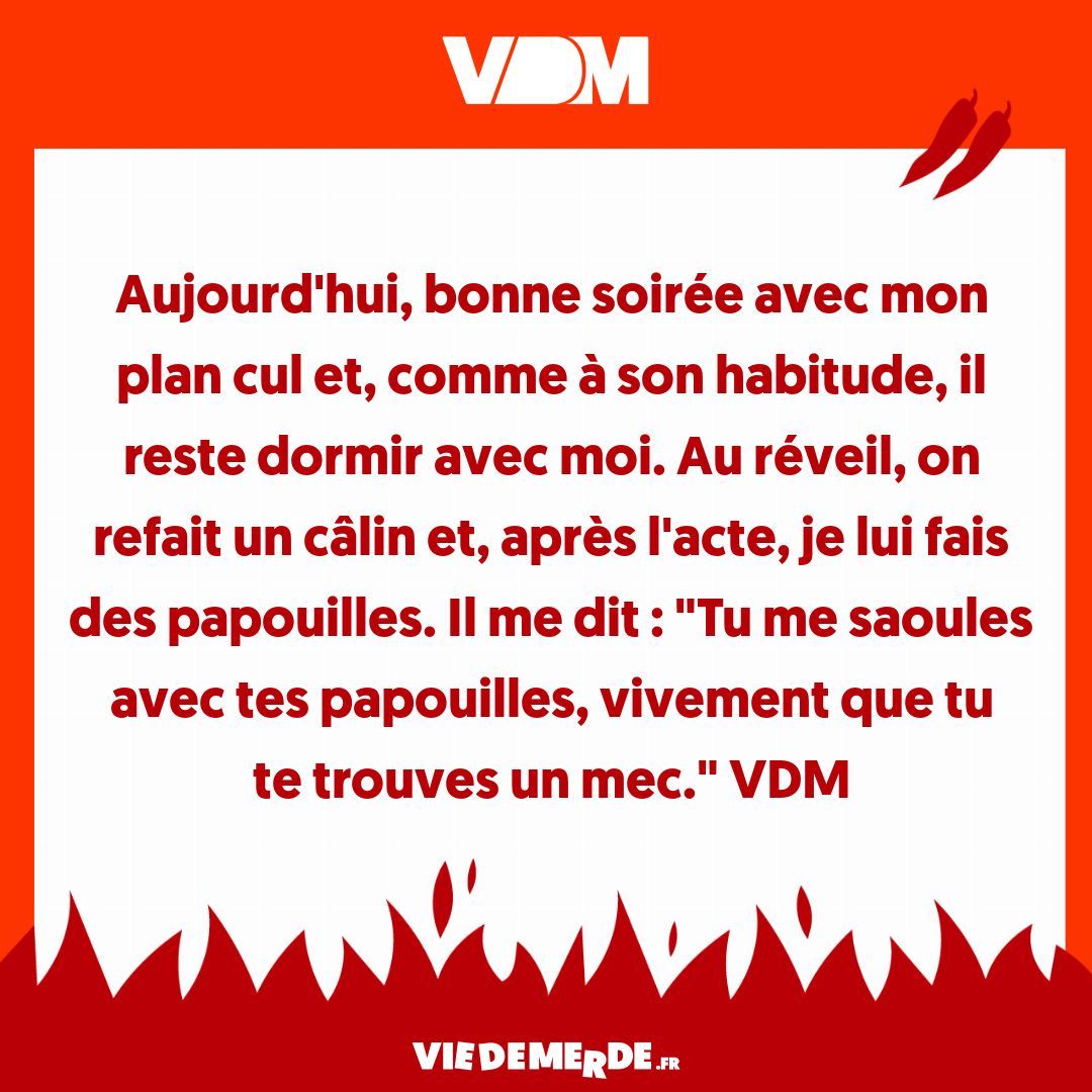 VDM tweet media
