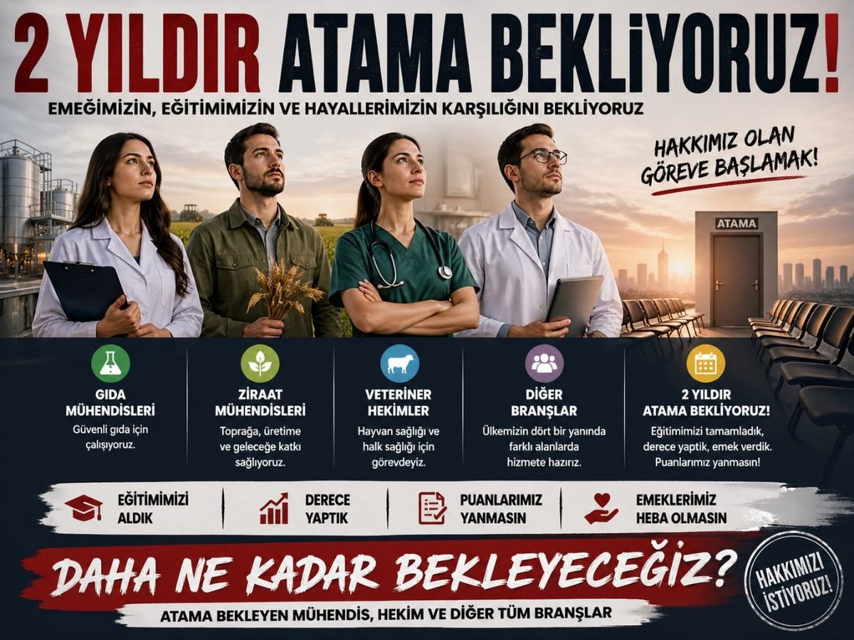 Zelal tweet media