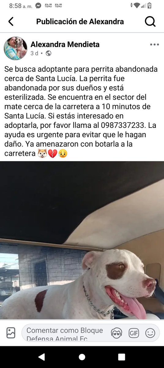 Bloque Defensores An tweet media