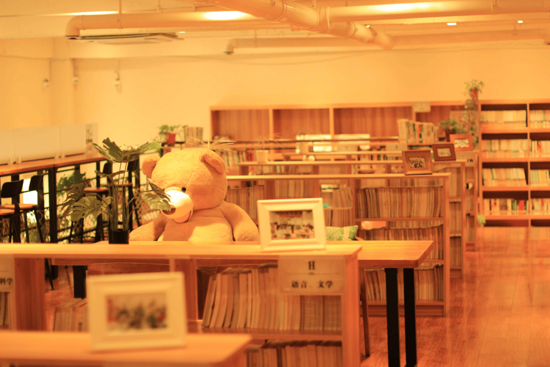 AGUSTIN65100291's tweet image. Spent a sunny Saturday sorting books for a community library! Helped organize 200+ volumes, chatted with local kids about storytime, and left with full hearts. Grateful for small acts that build connected communities. #VolunteerLife #CommunityLove