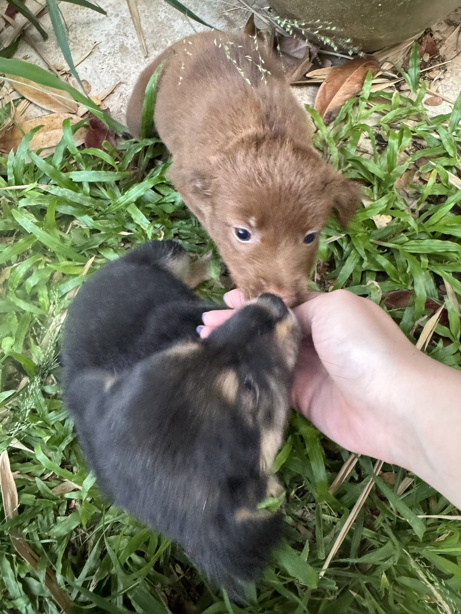 さっちゃん 🩵🪽 tweet media