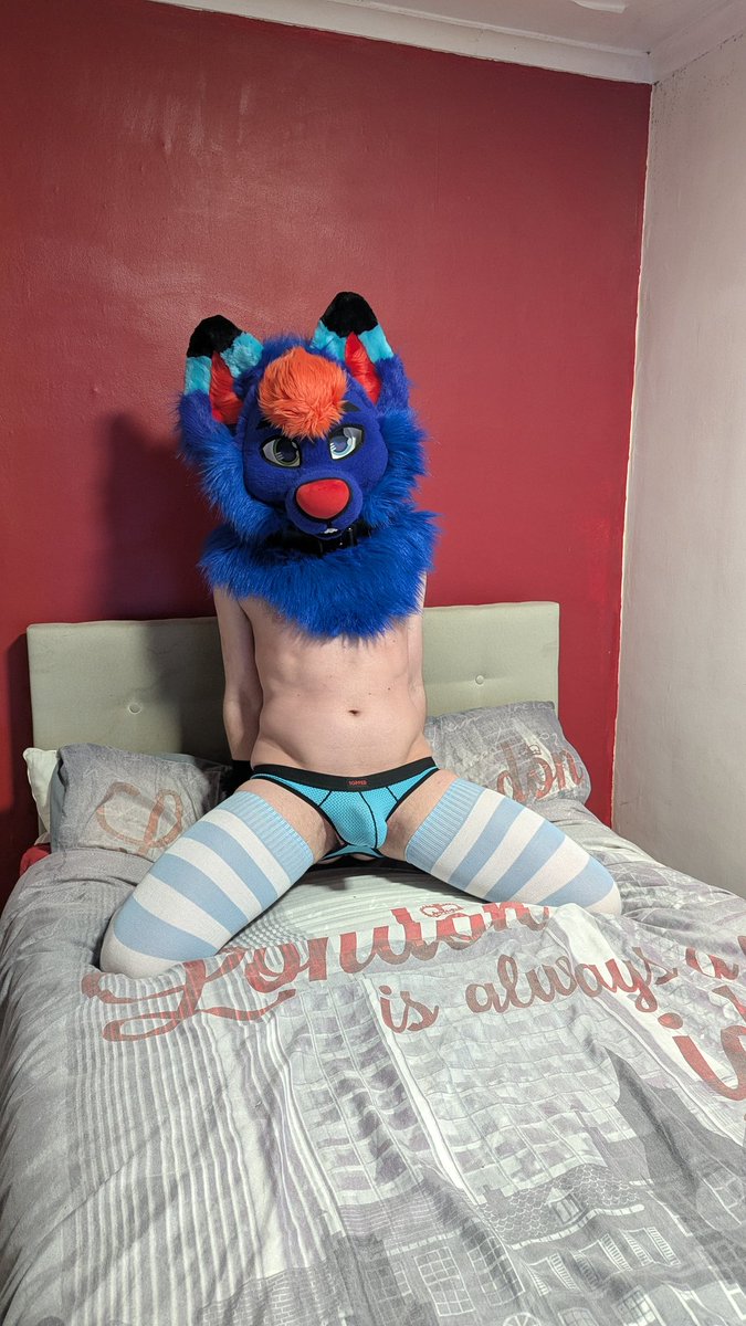 OdifuskyA's tweet photo. Would you grab his collar and drag him back to your room? 👀😏 https://t.co/r8NSaNUGyV