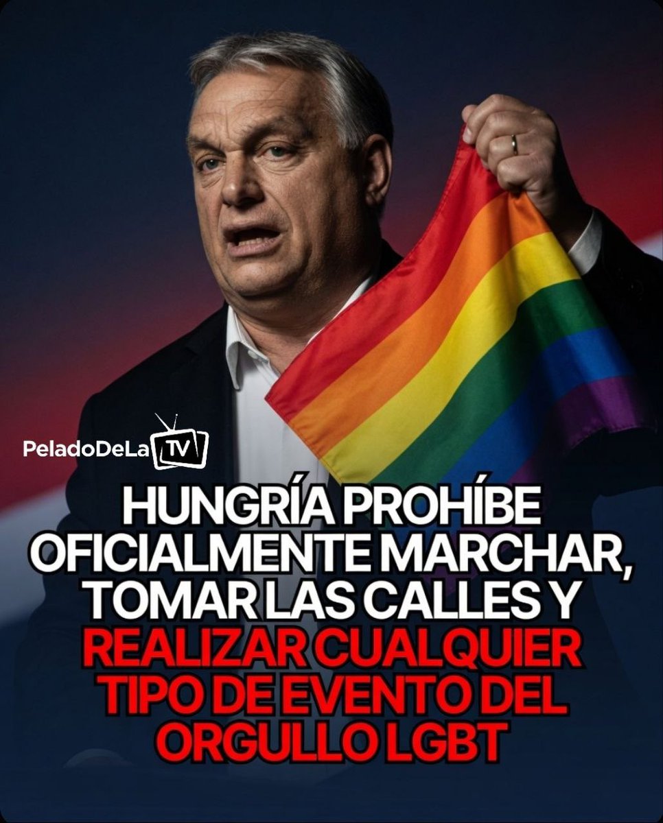 El Pelado De La TV tweet media