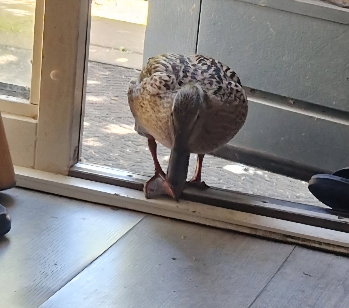 DᎥოᎥϮᏒᎥ🧐ᏉᎥᏕϮᎥ꒝К⚓🌶️🇳🇱 tweet media