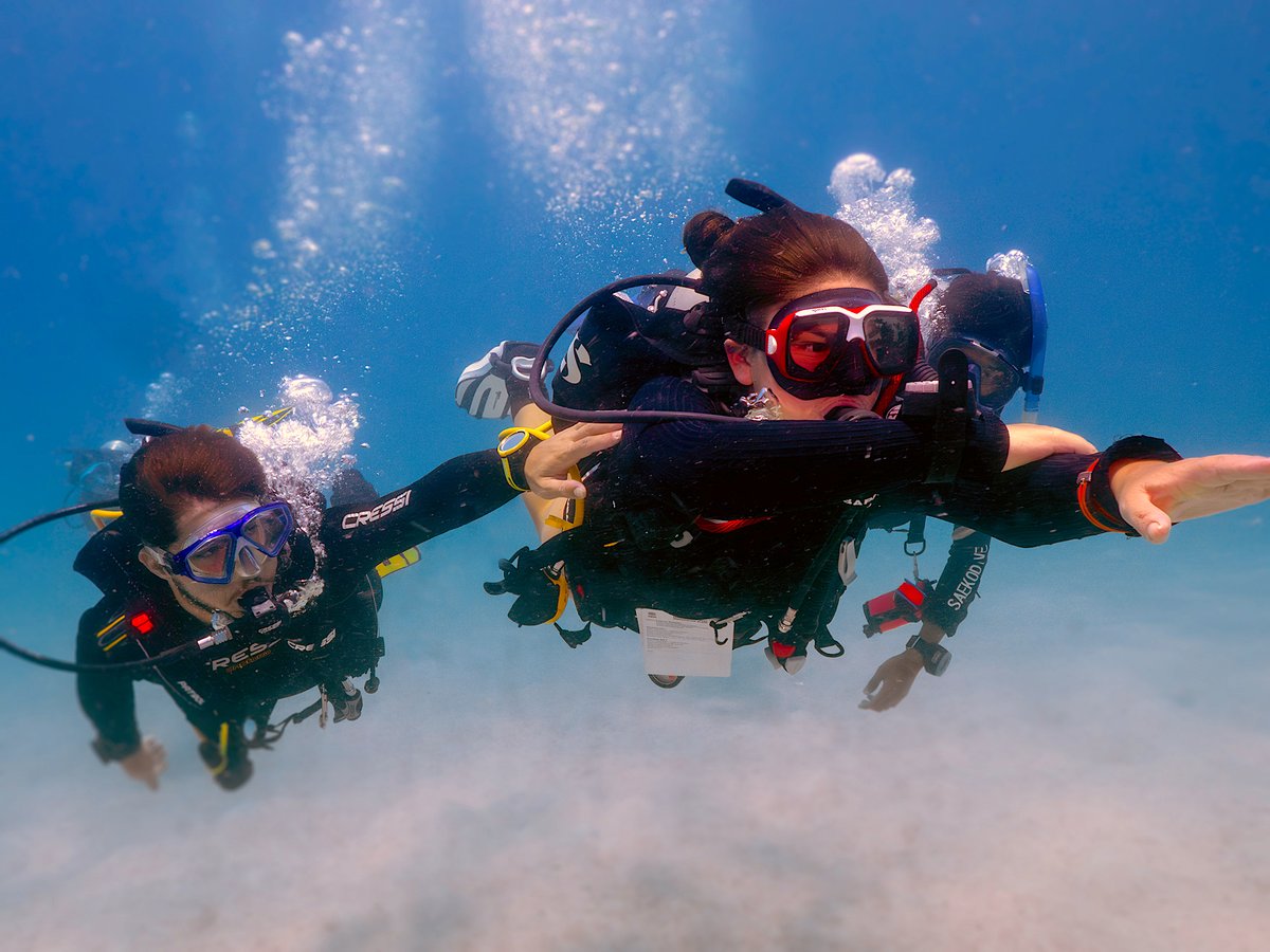 GoProIDCKohTao's tweet image. Why not get up to speed with teaching underwater navigation? Help students fine tune their observation skills and teach them how to use their compass more accurately underwater. idckohtao.com/pro-level-cour… #Navigation #Instructor #PADI #KohTao