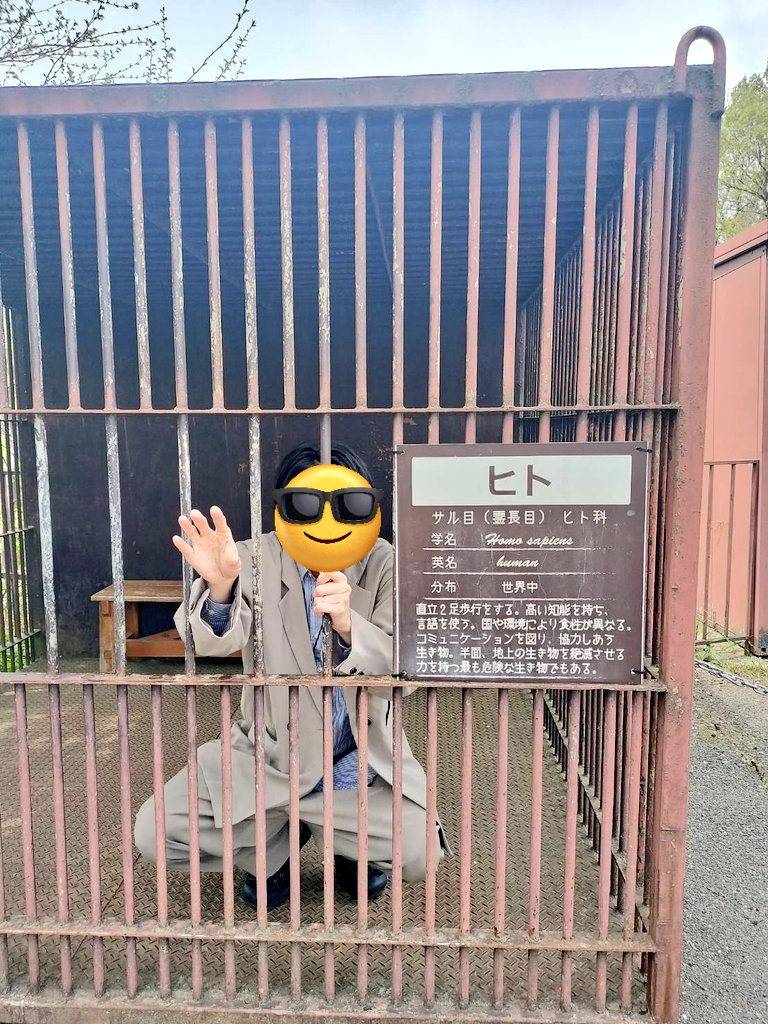 きゃん(spoon)しほパパ(ポケカ) tweet media