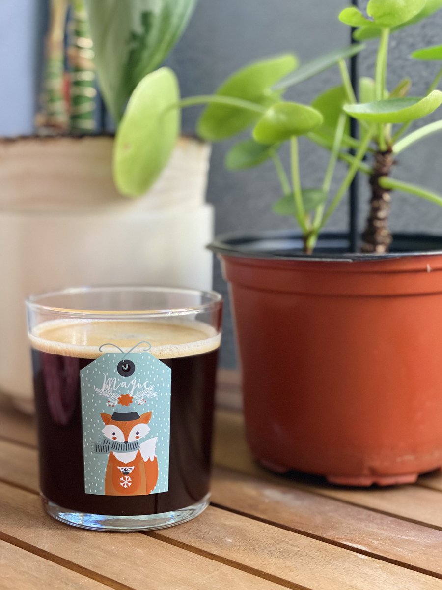 Moresra's tweet image. Bi kahve? ☕️ 🧊✨🦊
#coffee #kahve #tilki