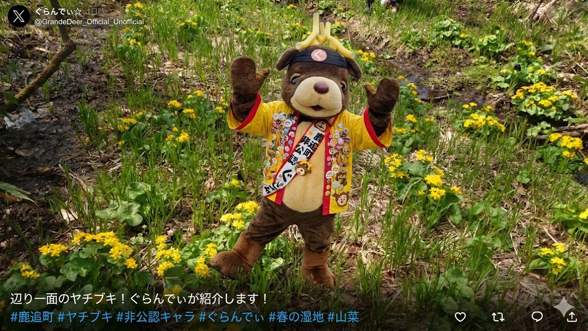 gurandy19980321's tweet photo. 今日は保護者さん&amp;ママと一緒に山菜採りに山へ…ぺこり☺️

今回は”ヤチブキ“と“アイヌネギ”を収穫！黄色い花を咲かせて一面に広がるのがヤチブキなんです…ぺこり☺️

アイヌネギは袋いっぱいに収穫出来ましたよ…ぺこり✨

家の側にある🌸の木が綺麗な🌸を咲かせてくれたので🆙するね…ぺこり😊 https://t.co/RVfZxgOrXY