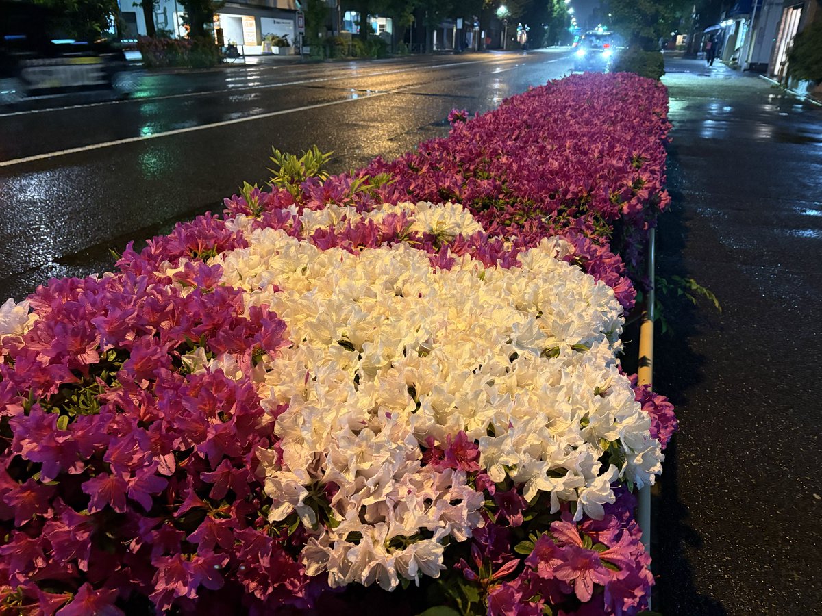 hitomy0422's tweet photo. https://t.co/JjpKC8TrRB