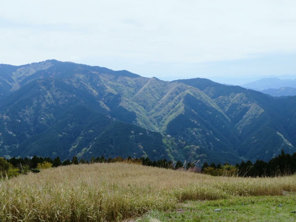 okusangaku's tweet photo. 4/26 大和葛城山

新歓！沢山のご参加ありがとうございました！

カタクリや咲き残りの椿などを発見した参加者さまが口々に報告してくださるなど、ワイワイと賑やかで非常に楽しい山行となりました！

新入部員の皆様、これからよろしくお願いします☘️

#大和葛城山 #山岳部  #春から大教 #関西の山 https://t.co/pLS8eUD7W9