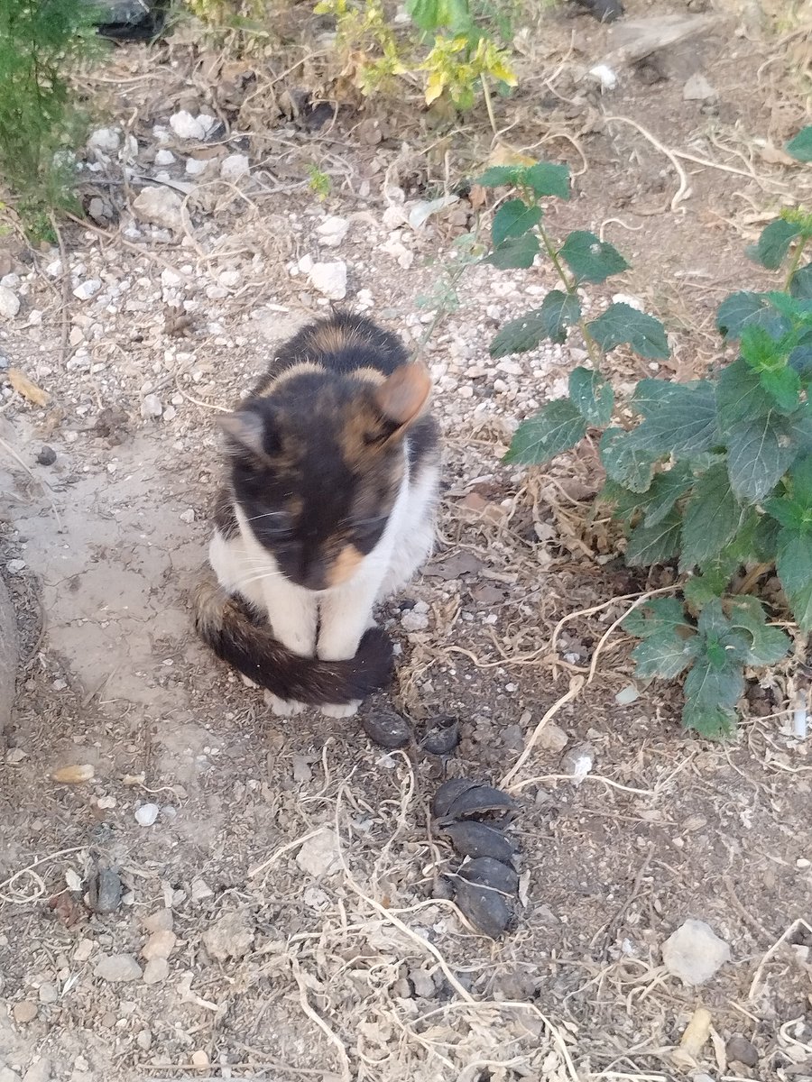 AntonisKostopou's tweet image. ΧΡΩΜΑΤΙΣΤΟΣ ❤️❤️❤️❤️❤️❤️❤️❤️❤️❤️❤️❤️❤️❤️❤️❤️❤️❤️❤️❤️❤️❤️❤️❤️❤️❤️❤️❤️❤️❤️❤️❤️❤️❤️❤️❤️❤️❤️❤️❤️❤️❤️❤️❤️❤️❤️❤️❤️❤️❤️