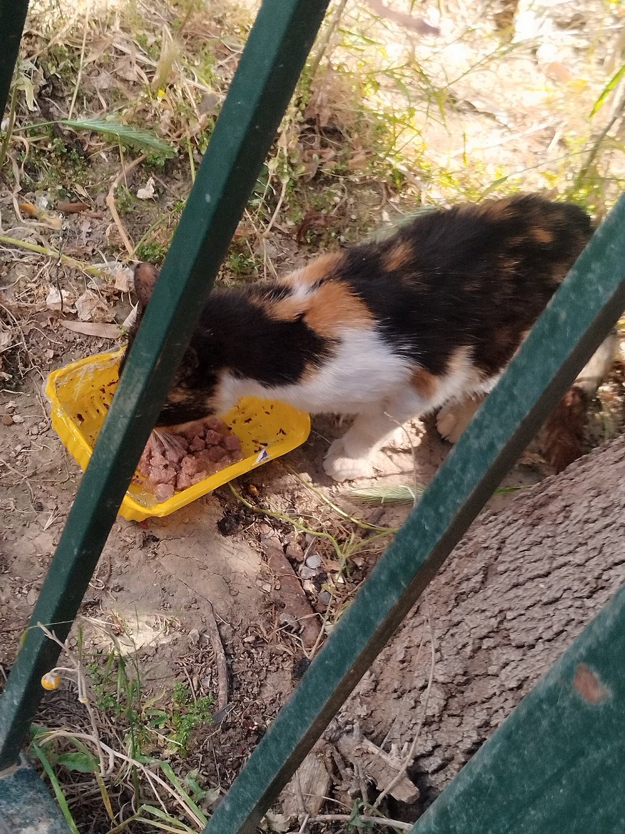 AntonisKostopou's tweet image. ΧΡΩΜΑΤΙΣΤΟΣ ❤️❤️❤️❤️❤️❤️❤️❤️❤️❤️❤️❤️❤️❤️❤️❤️❤️❤️❤️❤️❤️❤️❤️❤️❤️❤️❤️❤️❤️❤️❤️❤️❤️❤️❤️❤️❤️❤️❤️❤️❤️❤️❤️❤️❤️❤️❤️❤️❤️❤️