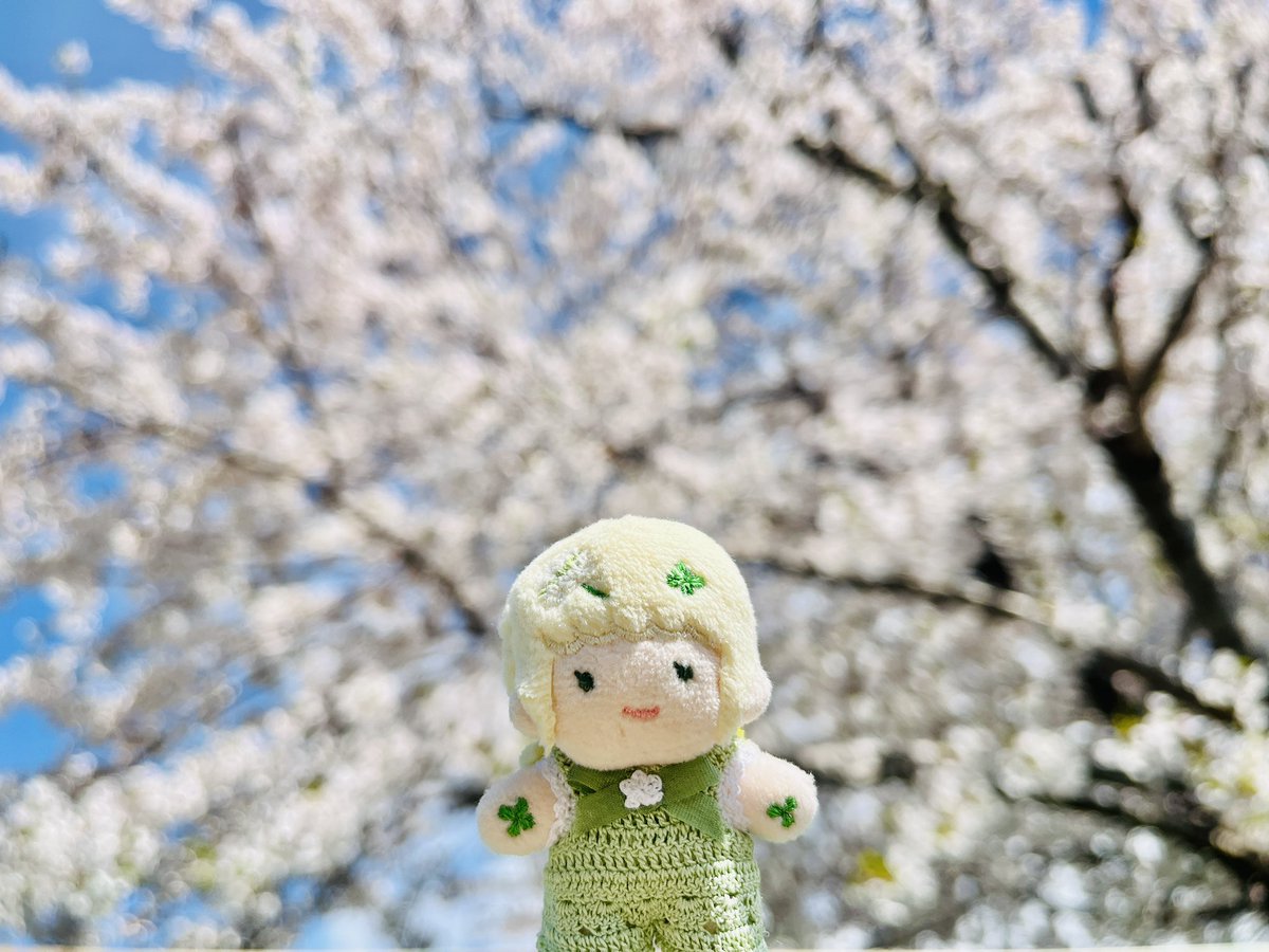 ヒヨ子@ぬいオーダー受付中 tweet media
