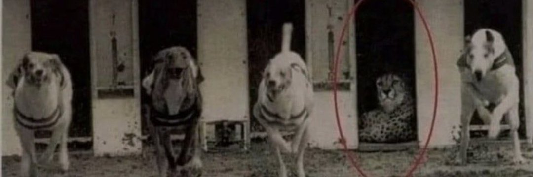 The Chaarti$t tweet media