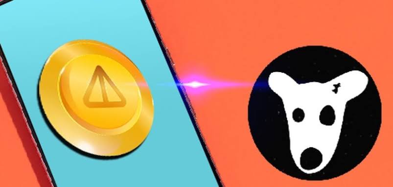 toncoin_radar's tweet image. ⚡️In my opinion, if you don't have #not and #dogs in your #memecoin basket, you're making a big mistake.

#TON🔹️ #mtonga