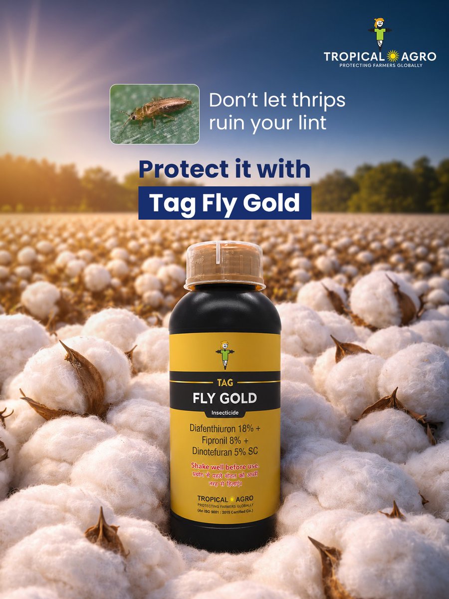 TropicalAgrosys's tweet image. In cotton-growing regions like #Raichur, #Yadgir &amp;amp; #Kalaburagi, July is key for vegetative growth.
As the crop builds, thrips &amp;amp; early borers can impact plant health if not managed in time.
#TagFlyGold offers strong control over thrips &amp;amp; fruit borers for better #CropProtection