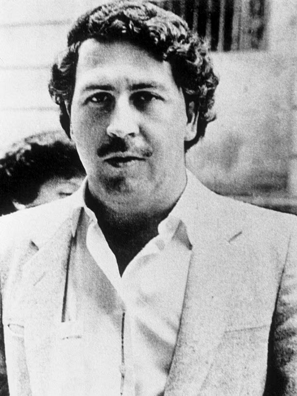 GriftReport's tweet photo. Billionaire's son Anant Ambani has offered to give Pablo Escobar's escaped hippos a permanent new home in India rather than let Colombia cull them,

the four original hippos were imported by the drug lord for his private zoo at Hacienda Napoles in the 1980s, escaped after his death and have since bred into a population of up to 80 along the Magdalena River,

they've become an invasive species attacking fishermen, wreaking havoc on the ecosystem and reproducing out of control,

Colombian authorities have now approved a cull after years of failed neutering and relocation attempts proved too expensive and ineffective,

Anant, son of Indian tycoon Mukesh Ambani, has submitted a full scientific plan to airlift the entire group to his giant Vantara wildlife rescue centre in Gujarat with veterinary-led capture, transport and a purpose-built naturalistic habitat,

he says these hippos didn't choose where they were born and if we have the ability to save them humanely then we have a responsibility to try,

Legend!