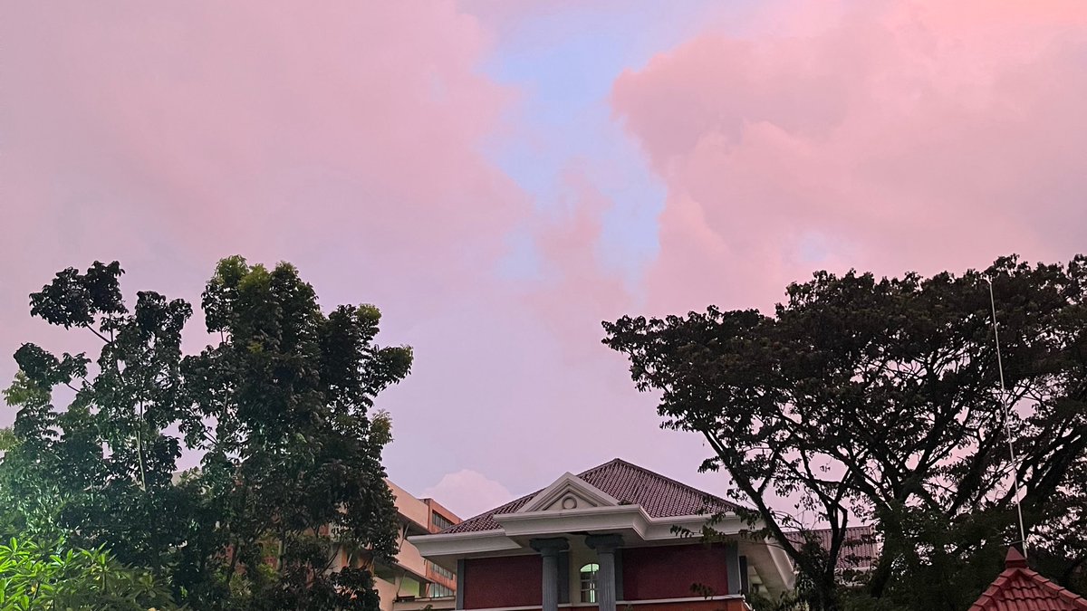 state of ✮ tweet media