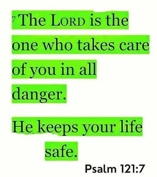 Bible 365 tweet media