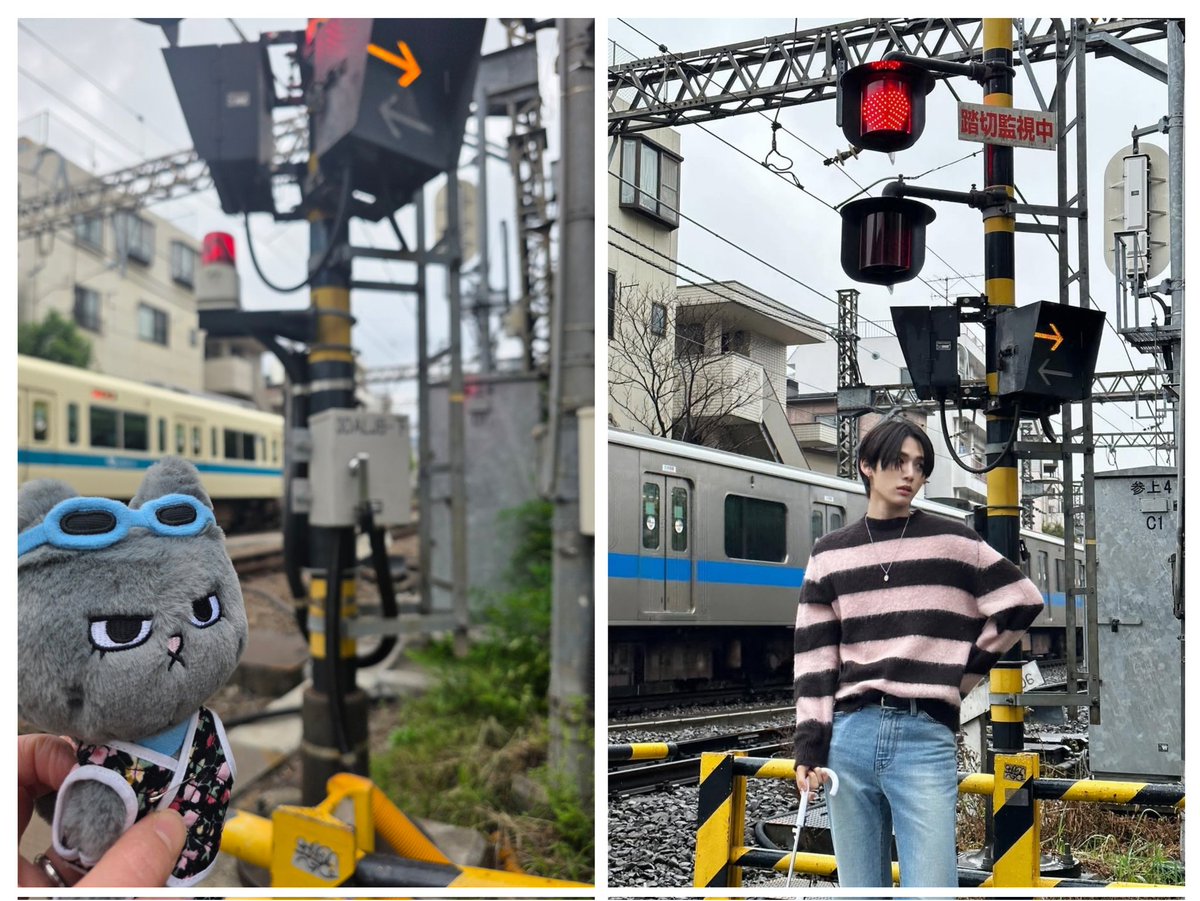 natsu🍅 tweet media