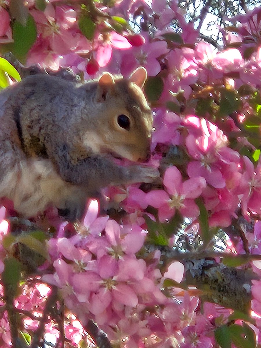 CNY Central tweet media