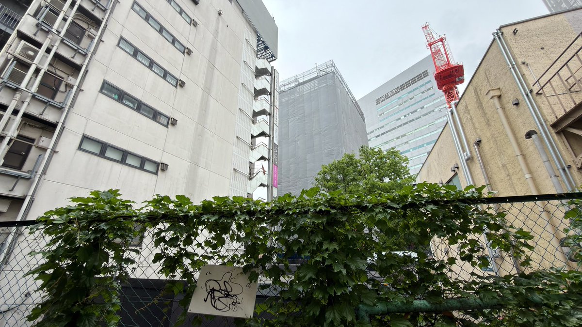 KAME BASE tweet media