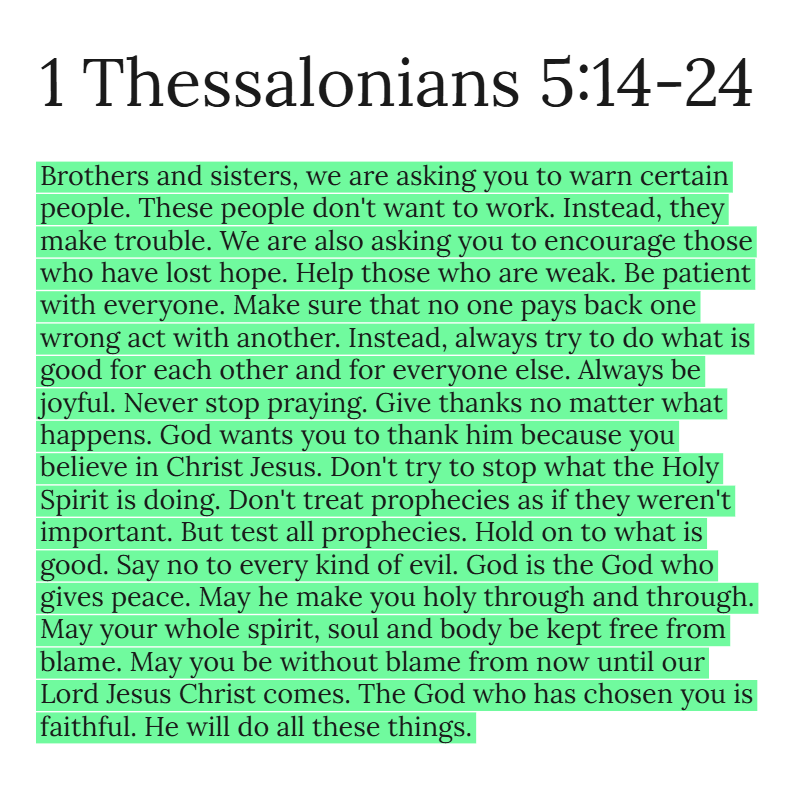 Holy Bible tweet media