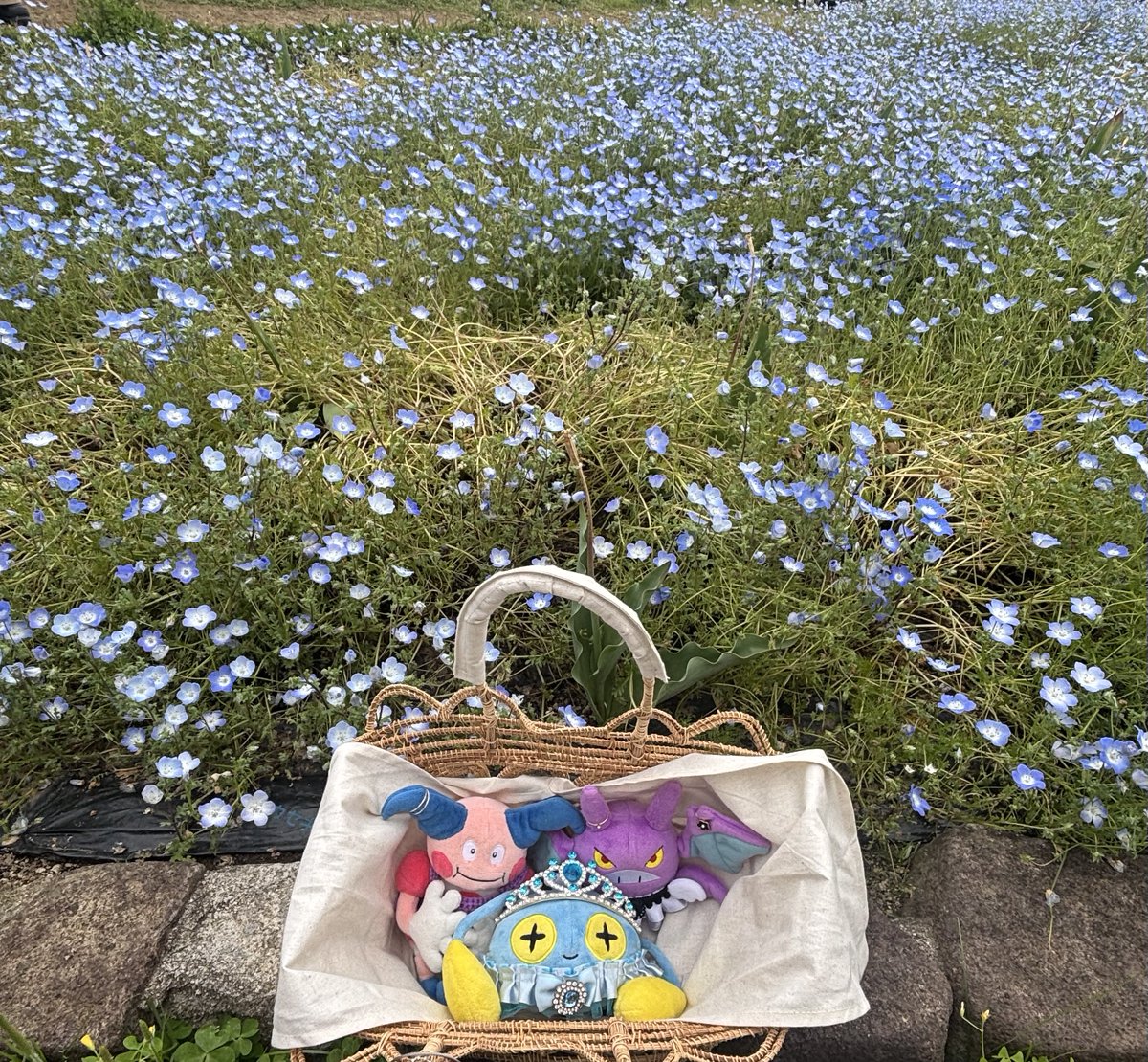 Chonchie_diary's tweet photo. お友達とピクニック𓂃 𓈒𓏸 https://t.co/ZxXz3InGtR