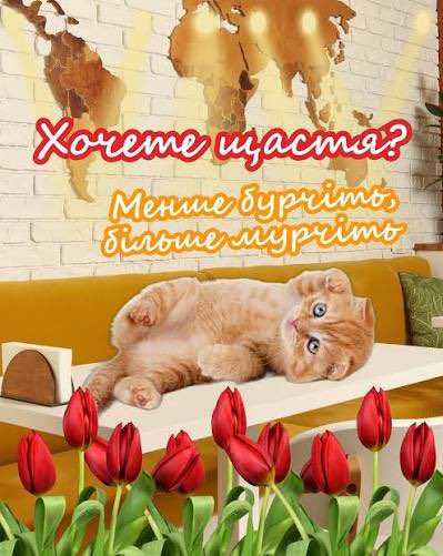 мірана tweet media