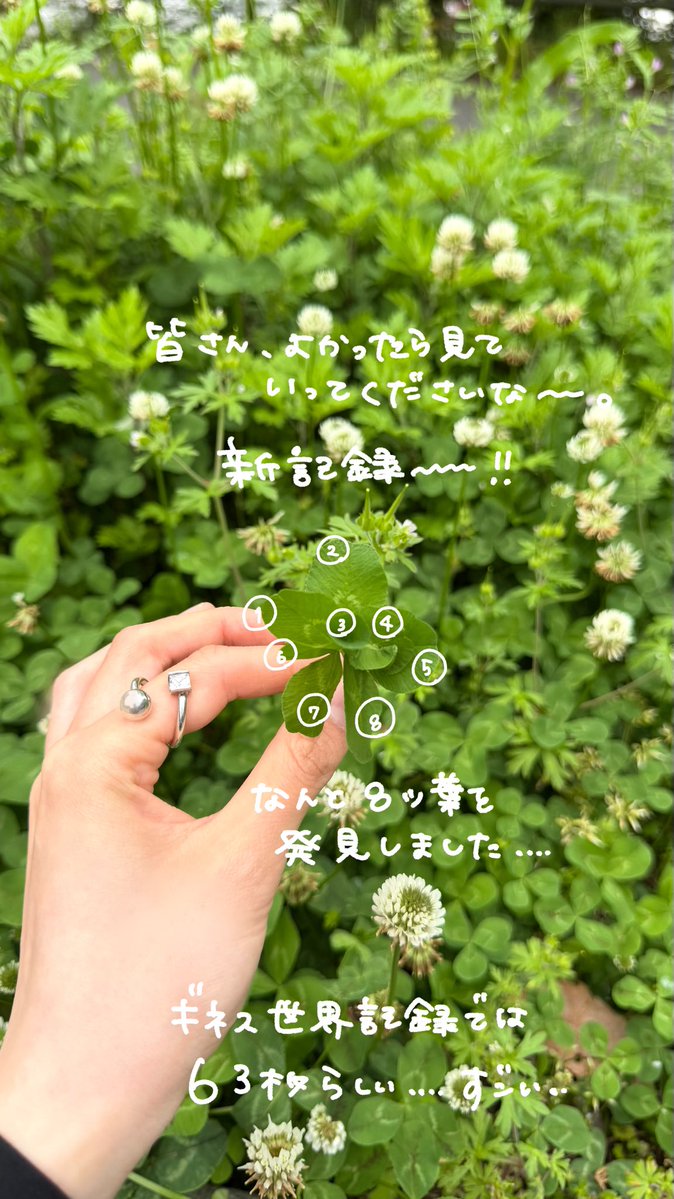 Post by しののめ | 書籍 
