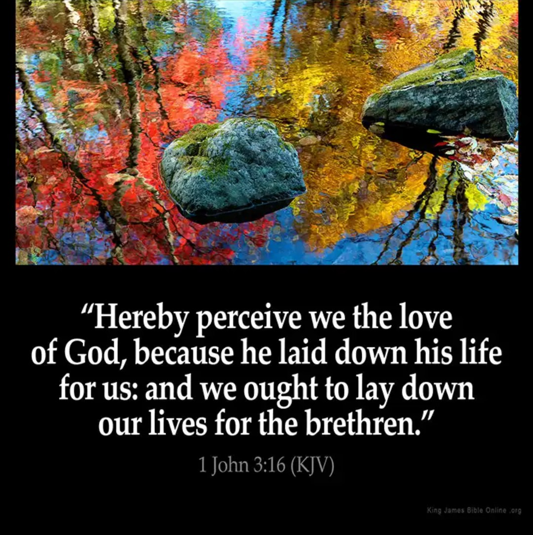 PastorTim tweet media