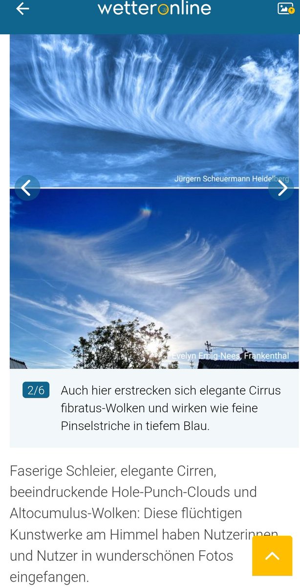AW 🇩🇪 tweet media