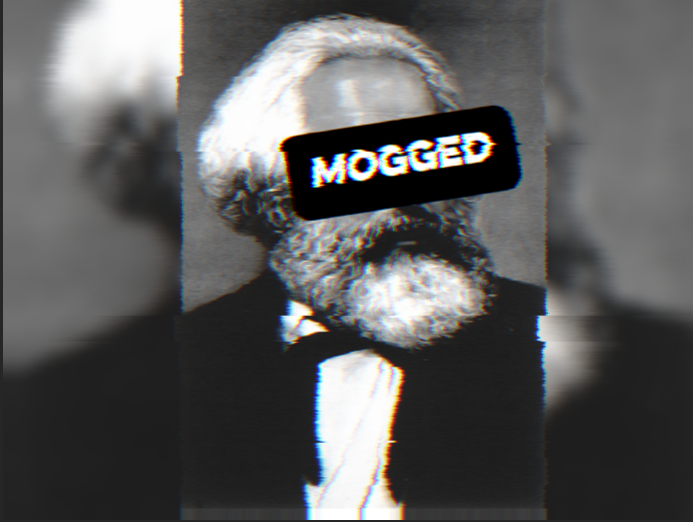 ZZermos🚁🐍 tweet media