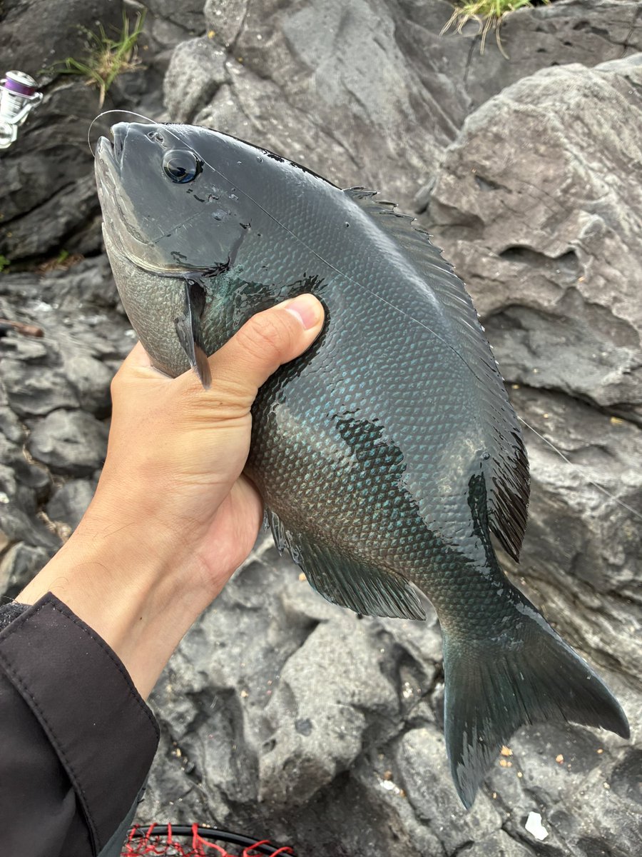 yusei fishing tweet media