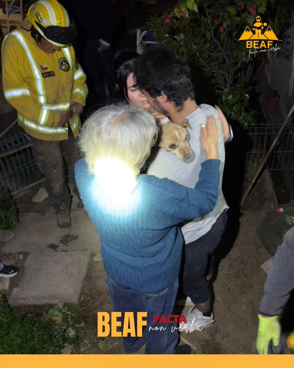 1ª Brigada Forestal Voluntaria de Chile tweet media
