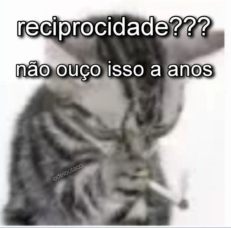 perfil dedicado a gatinhos e peitos tweet media