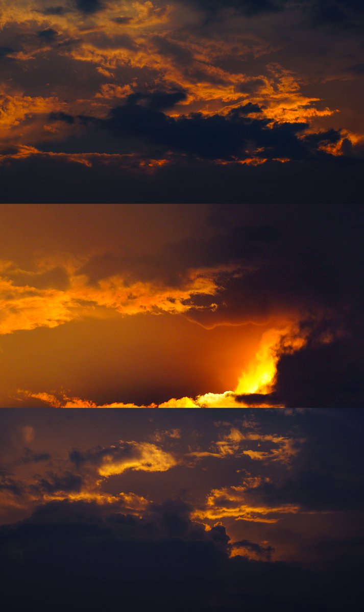 mrics2007's tweet image. " Photography 101: Start with light! Shoot into the sun at golden hour (1hr after sunrise/1hr before sunset) for soft, warm tones—no fancy gear needed. Your phone works!  #PhotographyTips #BeginnerPhotography"