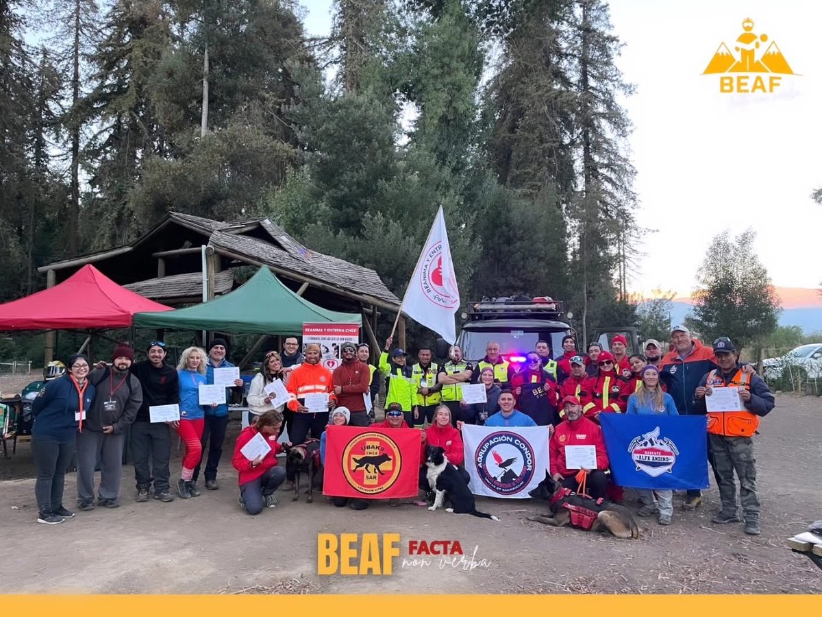 1ª Brigada Forestal Voluntaria de Chile tweet media
