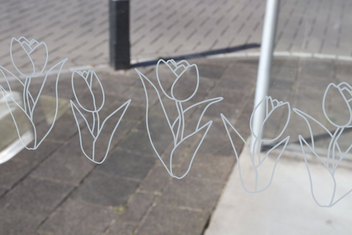 JefKPhotography's tweet image. Tulip decorations on glass. Somewhere outside.

I did not make the tulip decorations.

#tulip #tulips #flowers #glass #photo #picture #photography #photos #pictures