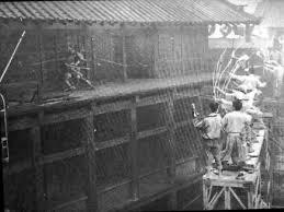 葉っぱのフレディ tweet media