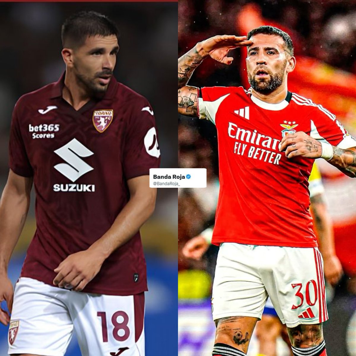 Banda Roja tweet media