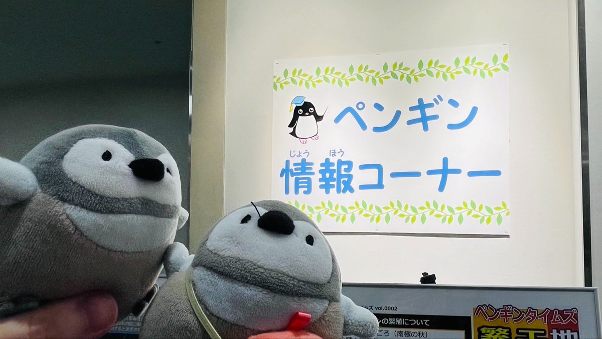 けいた tweet media