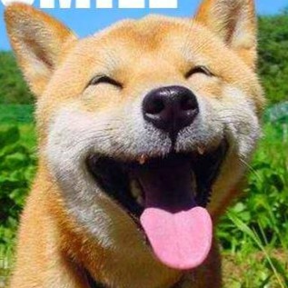 _dev_cf_'s tweet photo. test https://t.co/1lZm2KoZPL