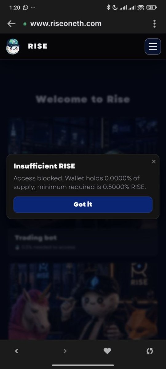 Rise tweet media